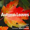 Ambient BGM channel - Autumn Leaves